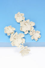 10f8d2d85a5e4b4fb752bcc63b990716-Max