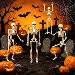 cd75ce1d-8303-42bd-9246-7b24c46694e6-Max-Origin
